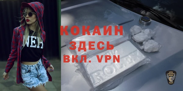 ешки Алзамай
