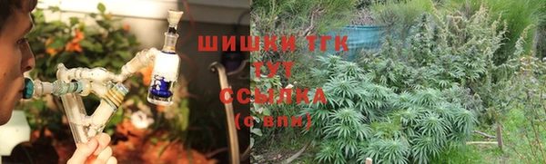 ешки Алзамай
