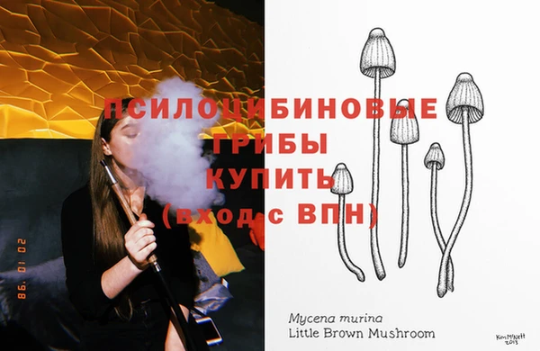 ешки Алзамай